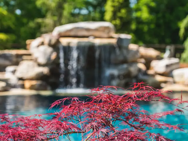 Water feature built by Waterscapes Backyard Resorts in Middle Tennessee